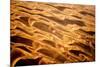 Garnet Sand Dunes II-Howard Ruby-Mounted Photographic Print
