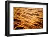 Garnet Sand Dunes II-Howard Ruby-Framed Premium Photographic Print