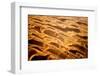 Garnet Sand Dunes II-Howard Ruby-Framed Premium Photographic Print