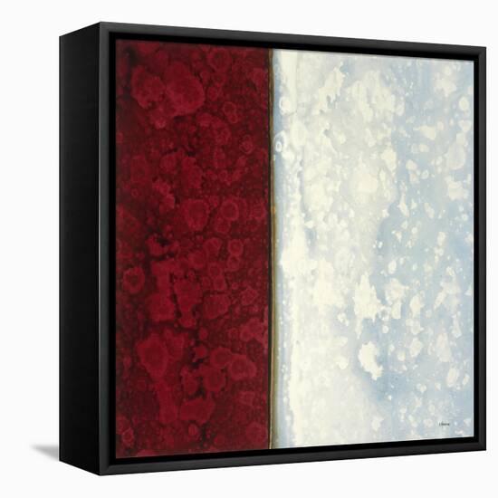 Garnet-Robert Charon-Framed Stretched Canvas