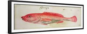 Garopa-John White-Framed Giclee Print