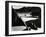 Garrapata Beach, California, 1954-Brett Weston-Framed Photographic Print