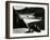 Garrapata Beach, California, 1954-Brett Weston-Framed Premium Photographic Print