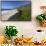 Garrapata Beach Vista, Big Sur, California-George Oze-Framed Stretched Canvas displayed on a wall