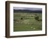 Garsdale, Yorkshire, England, United Kingdom-Michael Short-Framed Photographic Print