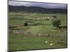 Garsdale, Yorkshire, England, United Kingdom-Michael Short-Mounted Photographic Print