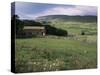 Garsdale, Yorkshire, England, United Kingdom-Michael Short-Stretched Canvas