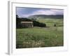 Garsdale, Yorkshire, England, United Kingdom-Michael Short-Framed Photographic Print