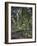 Garten at Godramstein with Crooked Tree, 1910-Max Slevogt-Framed Giclee Print