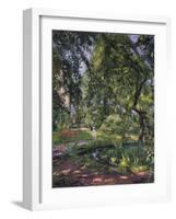 Garten at Godramstein with Crooked Tree, 1910-Max Slevogt-Framed Giclee Print