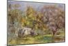 Garten mit Olivenbäumen (Jardin d'oliviers). 1907-12-Pierre-Auguste Renoir-Mounted Giclee Print