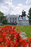 The Front of the US Supreme Court in Washington, Dc.-Gary Blakeley-Photographic Print