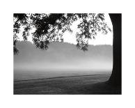 Fog in the Park II-Gary Bydlo-Stretched Canvas