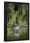 Essential Black