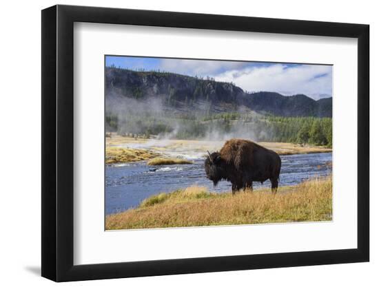 Premium Photographic Print, , large
