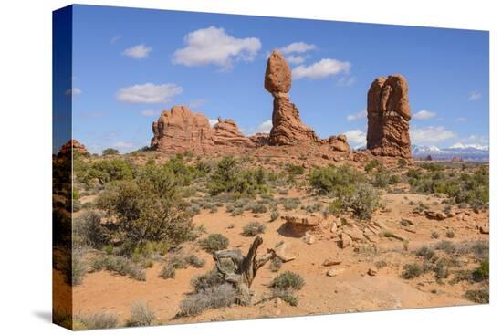 Stretched Canvas Print, , large