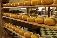 Dutch Cheese, Zaanse Schans, Zaandam Near Amsterdam, Holland (The Netherlands)-Gary Cook-Photographic Print