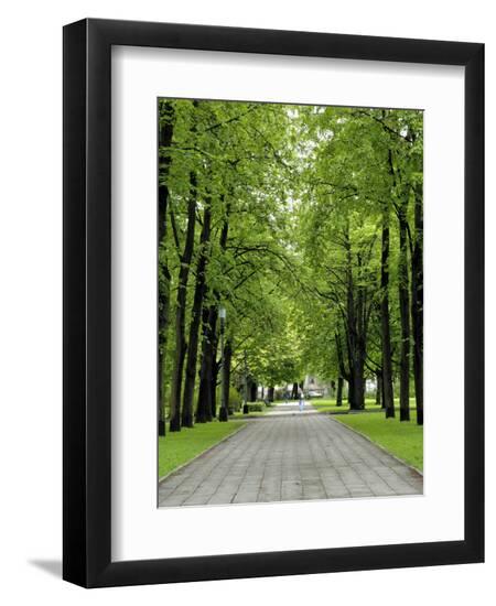 Premium Photographic Print, , large