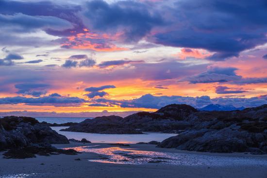 Premium Photographic Print, , large