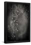 Essential Black