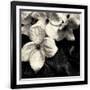 Gramercy Black