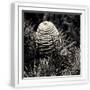 White Frame