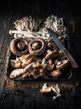 Assorted Mushrooms in Tray on Wooden Table-Gary Jones-Mounted Photographic Print