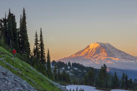 Photographic Print, , large