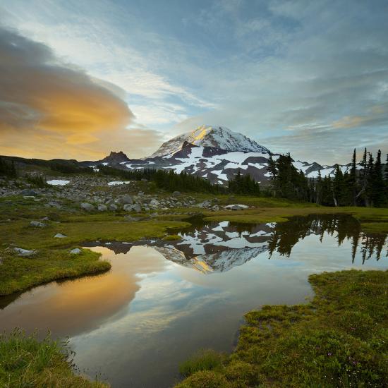 Photographic Print, , large