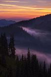 Purple Fog Sunset, Olympic National Park, Washington, USA-Gary Luhm-Photographic Print