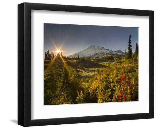 Premium Photographic Print, , large
