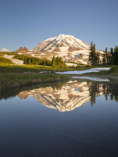 Premium Photographic Print, , large