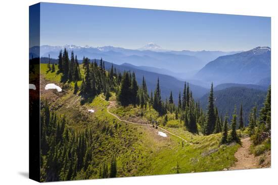 Stretched Canvas Print, , large