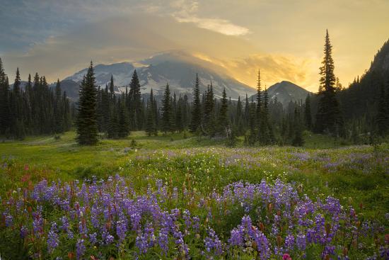 Premium Photographic Print, , large