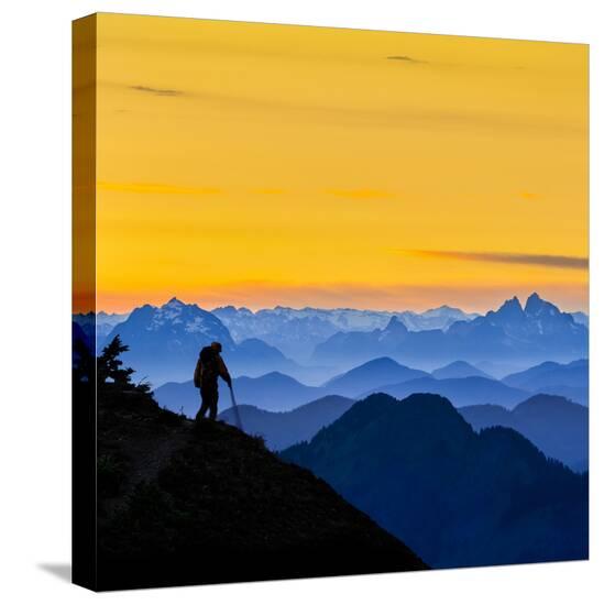 Stretched Canvas Print, , large