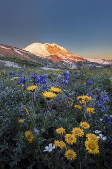 Premium Photographic Print, , large
