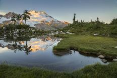 Washington, Subalpine Larch Surround Horseshoe Lake, Alpine Lakes Wilderness at Sunrise-Gary Luhm-Photographic Print