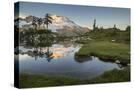 Stretched Canvas