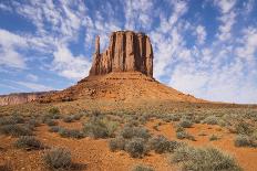 Checkerboard Mesa, Zion National Park, Utah, United States of America, North America-Gary-Photographic Print