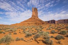 Monument Valley-Gary-Framed Photographic Print