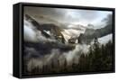 Framed Canvas