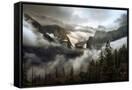 Canvas Black