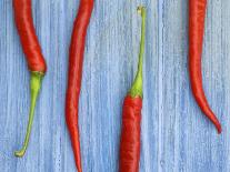 Red Chilli Peppers Chillies Freshly Harvested on Pale Blue Background-Gary Smith-Photographic Print