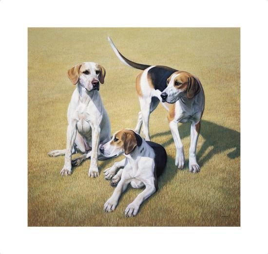 Collectable Print, , large
