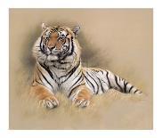 Tiger-Gary Stinton-Collectable Print