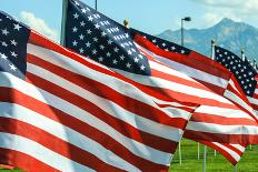 American Flags-Gary Tognoni-Framed Photographic Print