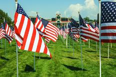 American Flags-Gary Tognoni-Stretched Canvas