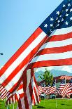 American Flags-Gary Tognoni-Framed Photographic Print