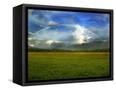 Canvas Black