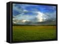 Canvas Black